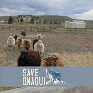 Meet your Posher, Elayne